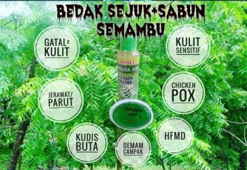 100ml Chicken Pox Measles Semambu Leaf Powder - Image 2