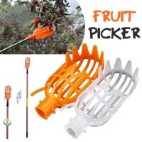 Fruit Hook Head